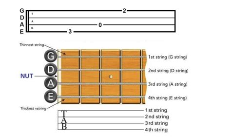breed bass tab|bass tablature for beginners.